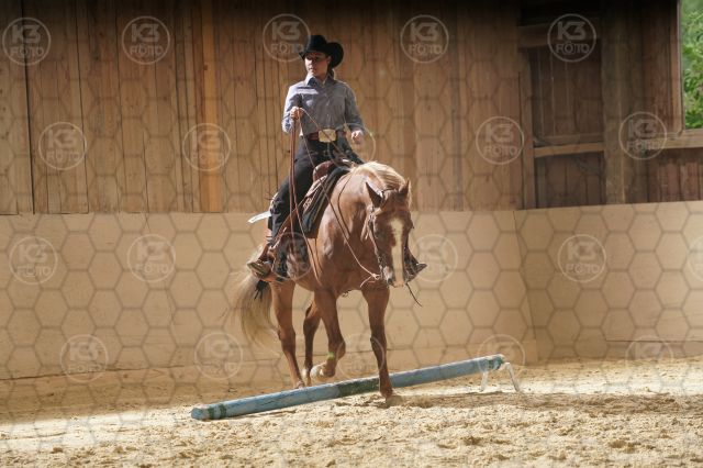 s_K3F05855.JPG